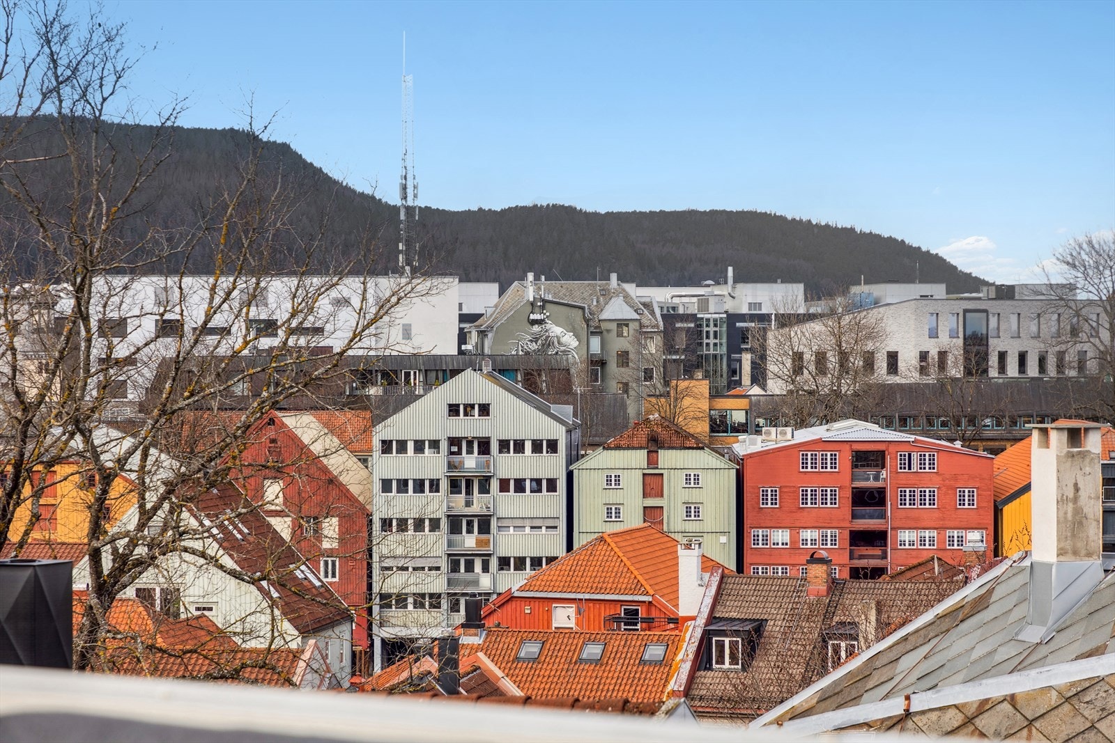 Når du først har bosatt deg på Bakklandet er det vanskelig å forlate denne sjarmerende bydelen som har masse sjel og historie. Galleribilde