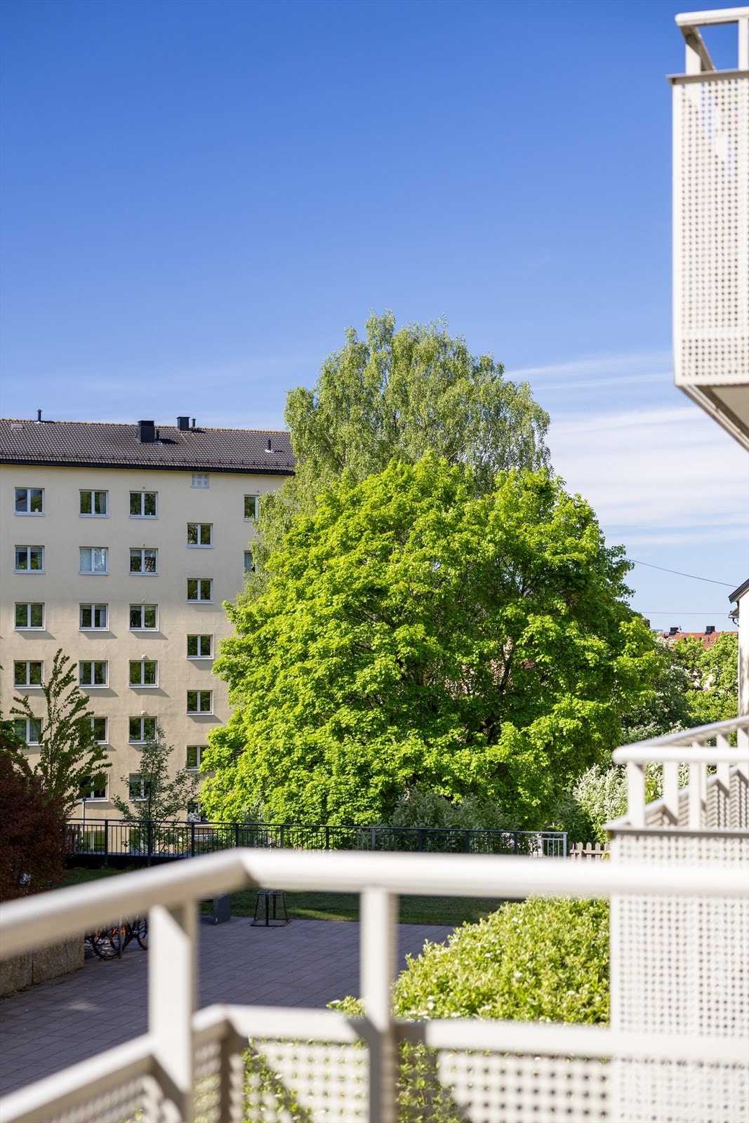 Frodige omgivelser. Galleribilde