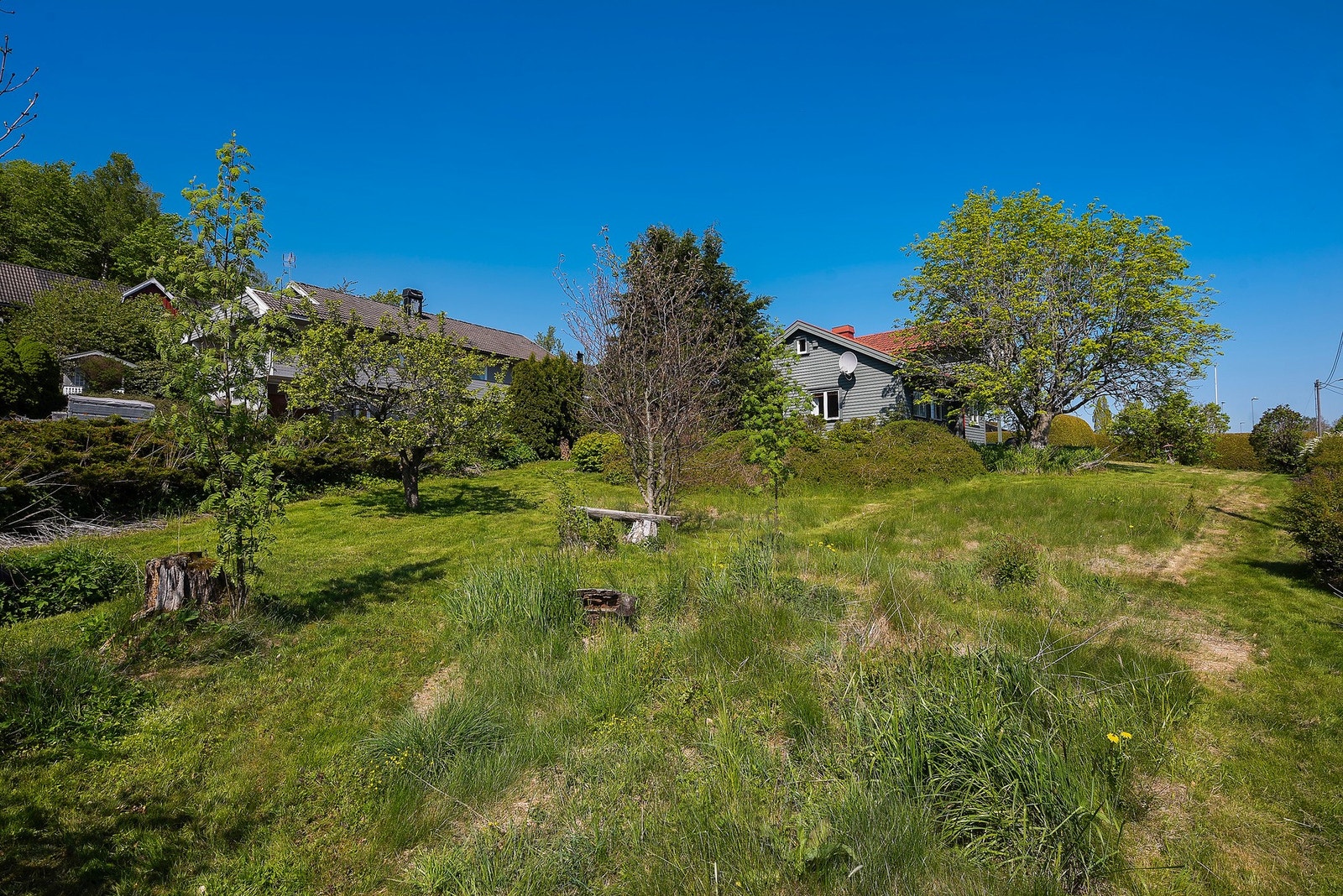 Stor, solrik tomt Galleribilde