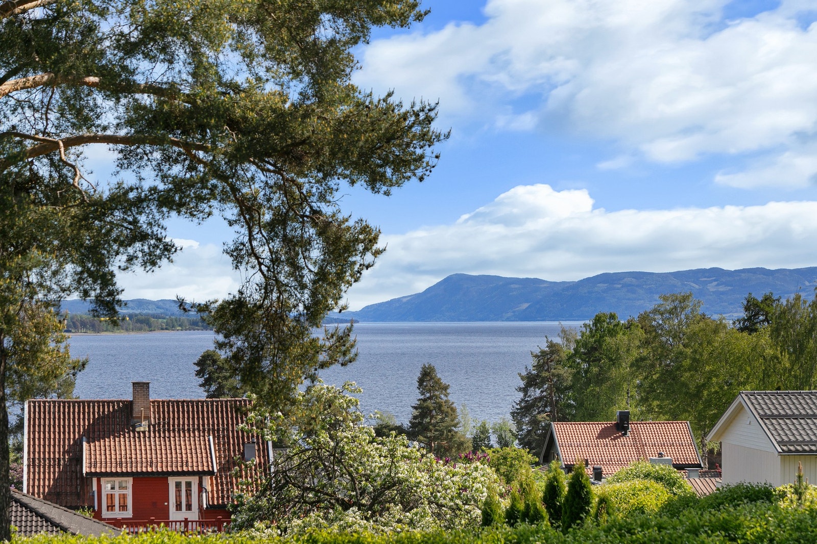 Idyllisk beliggenhet i vakre omgivelser ved Mjøsa. Galleribilde
