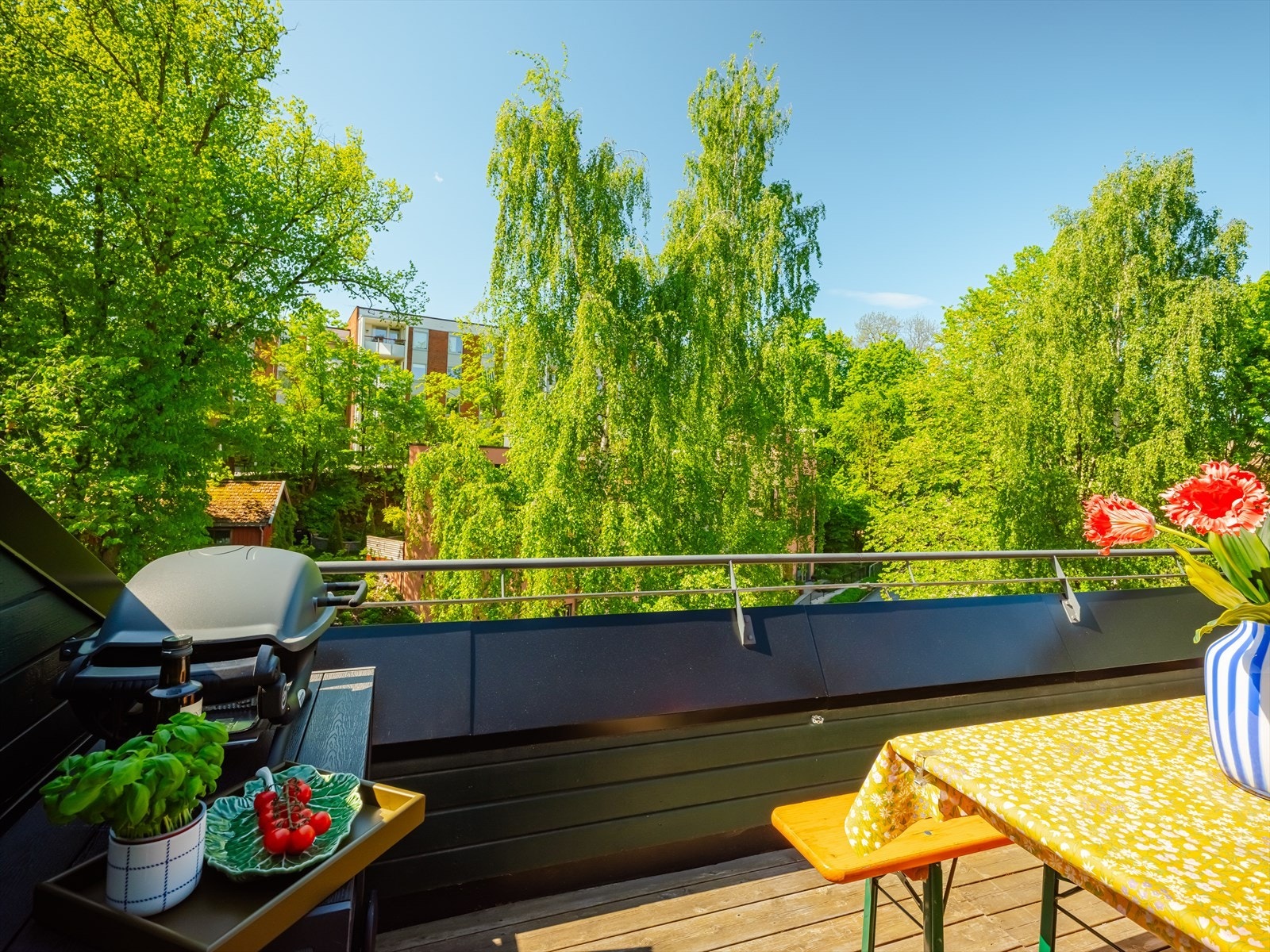 Stor, solrik takterrasse med vestvendt beliggenhet og frodig utsikt. Galleribilde