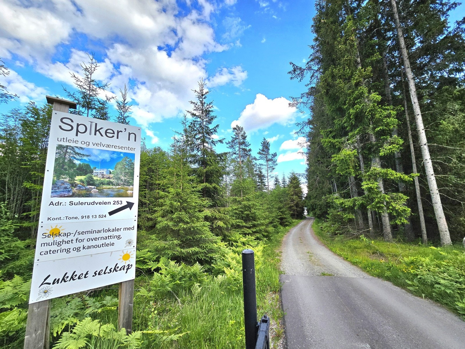 Gangavstand til flotte rekrasjonsområder ved Lyseren Galleribilde