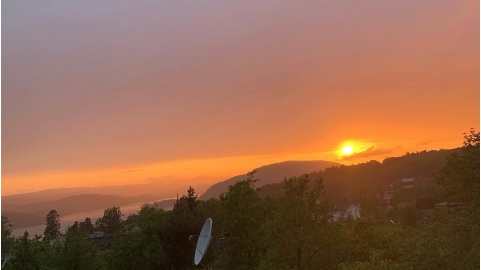 Selgers private bilder. Galleribilde