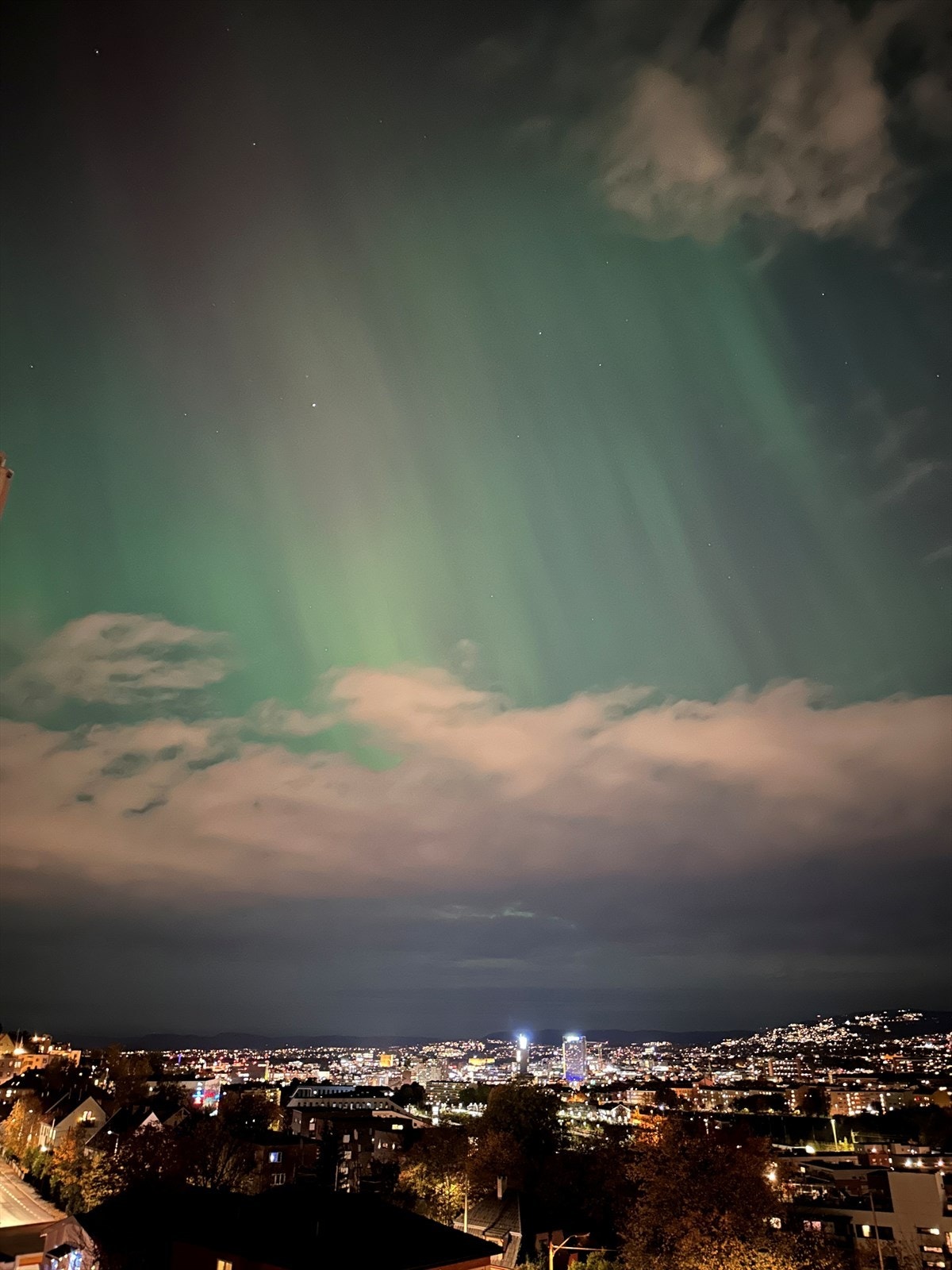 Nordlys sett fra leiligheten - en sjelden og magisk opplevelse, foreviget av selger. Galleribilde