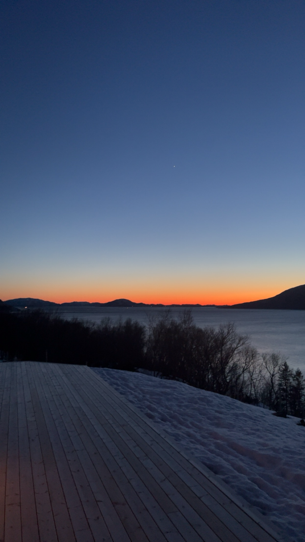 Selgers bilde Galleribilde