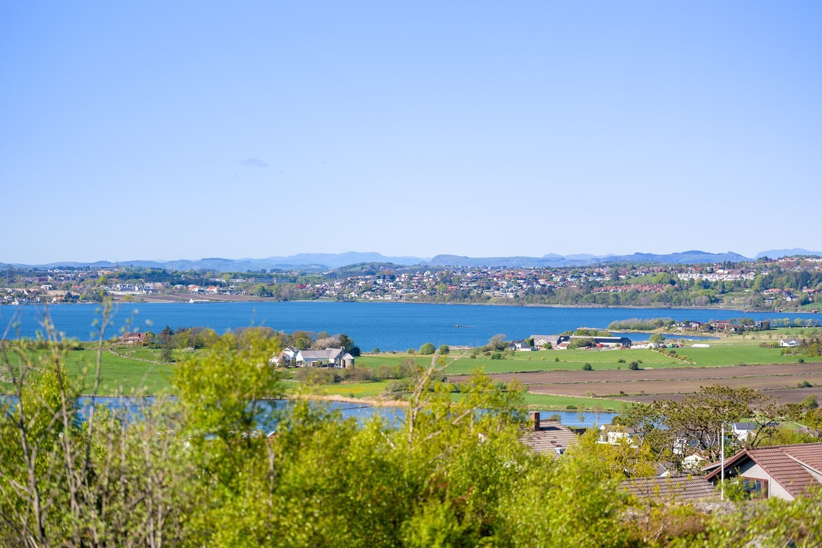 Flott utsikt over Hafrsfjord Galleribilde