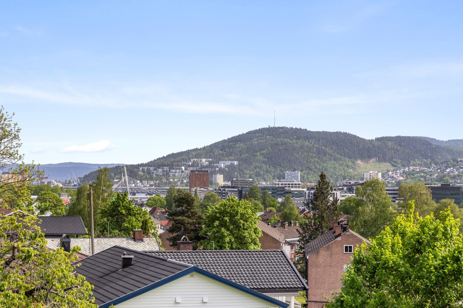 Utsikt - Nærområdet Galleribilde