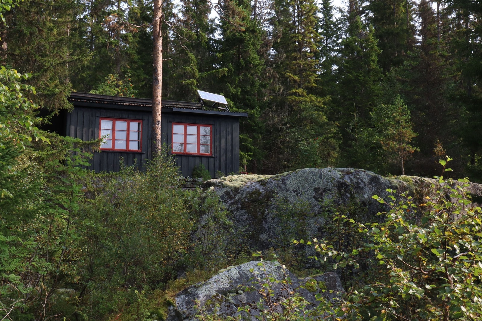Hytta sett fra Birkebeinerløypa Galleribilde