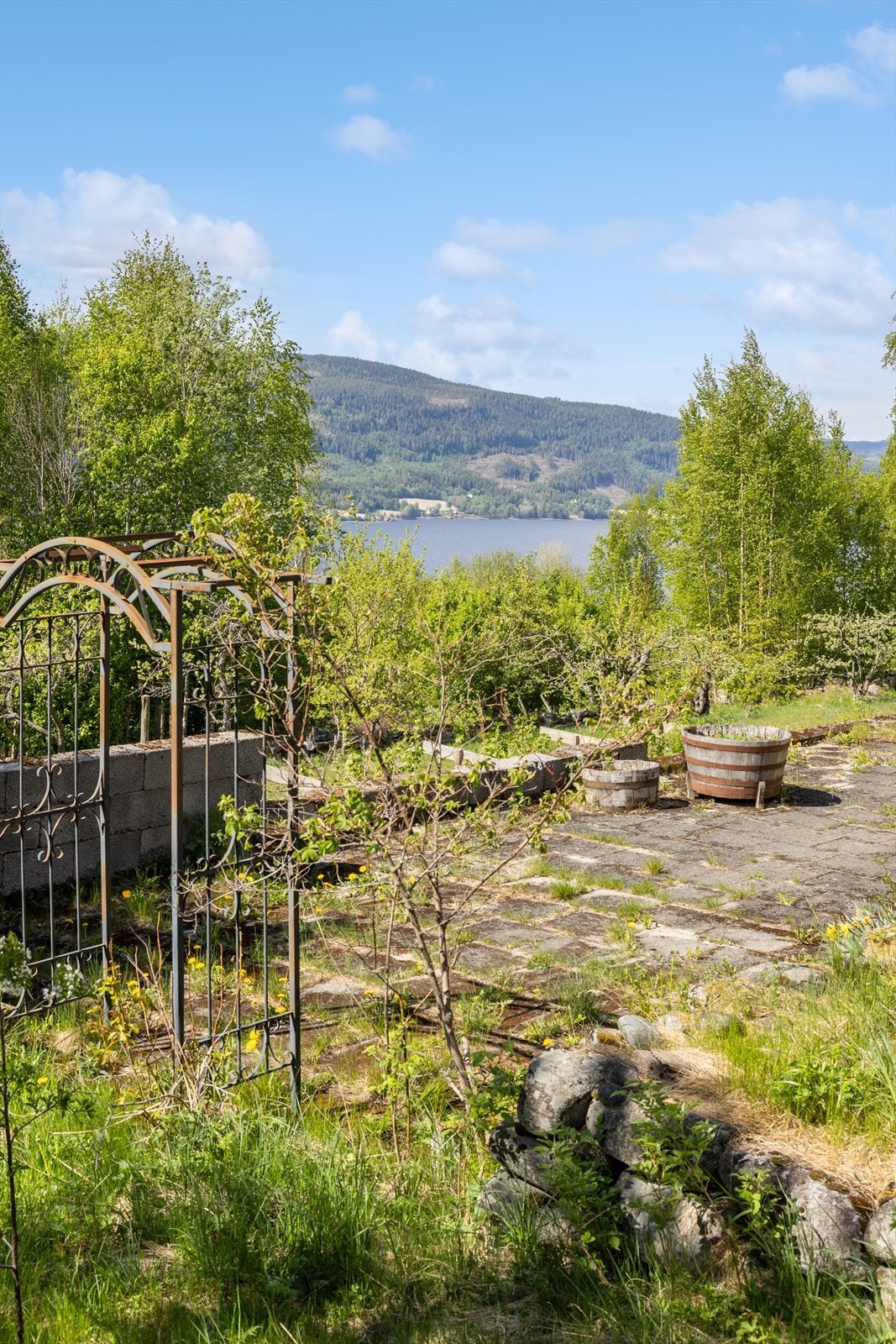 Utsikt fra tomten. Galleribilde