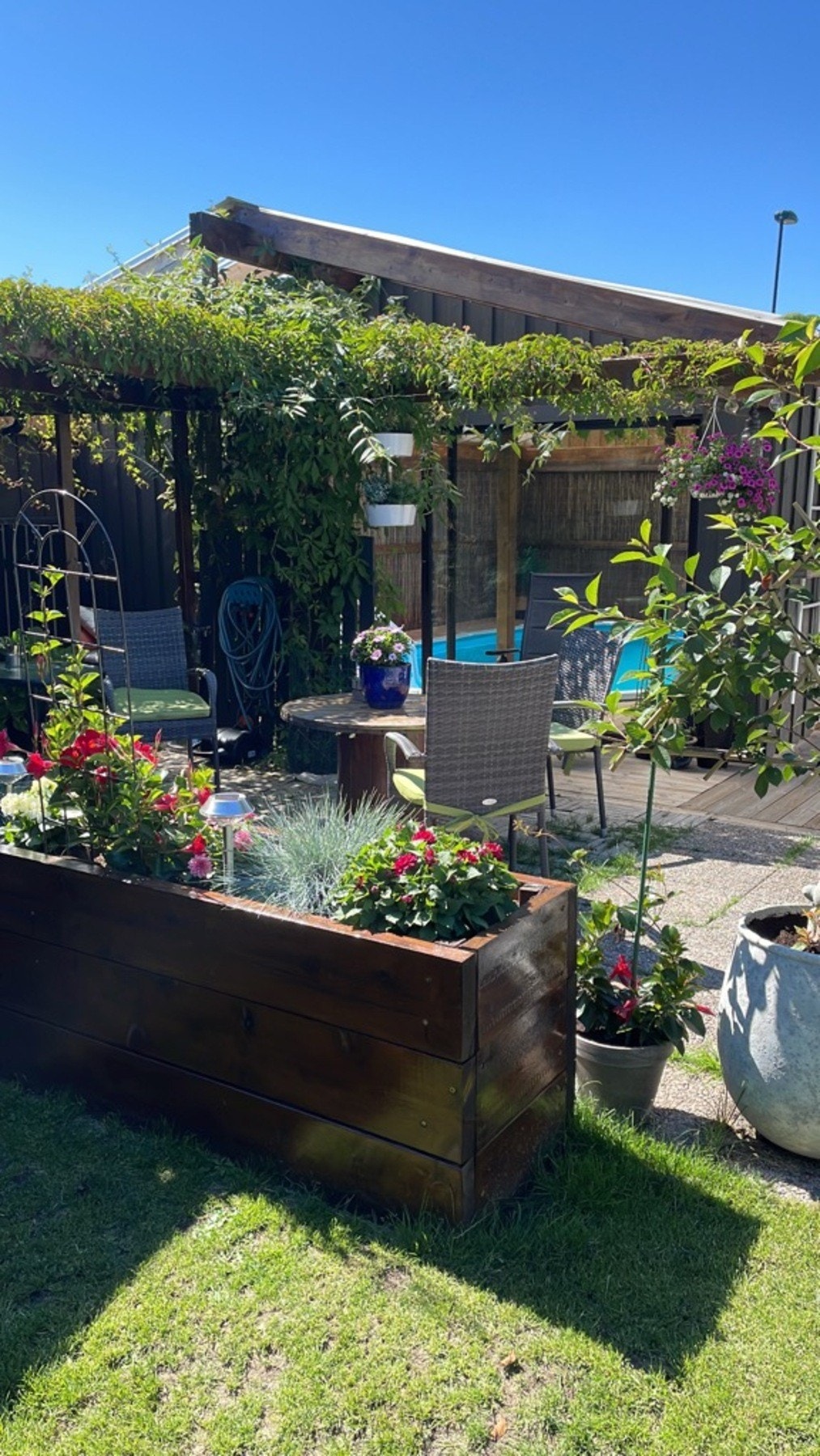 Diverse fra hagen Galleribilde