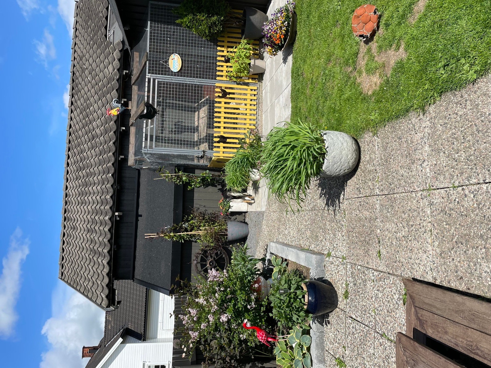 Diverse fra hagen - Det er en frodig fint opparbeidet hage som det er verdt å ta en titt på. Galleribilde