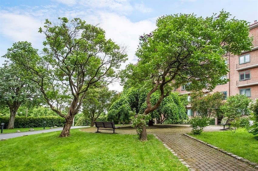 Sommer i felles vakkert gårdsrom Galleribilde