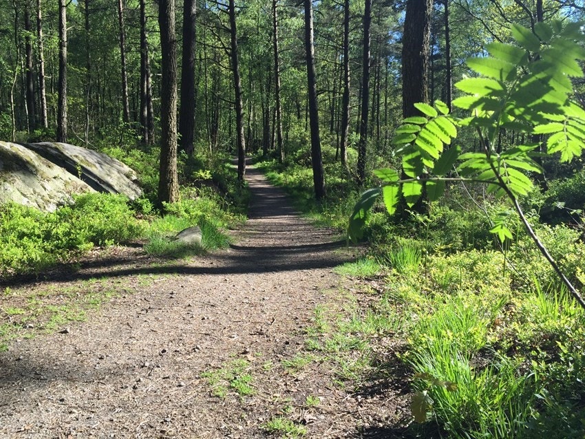 Tursti i Fåmyra (arkivbilde, PrivatMegleren) Galleribilde