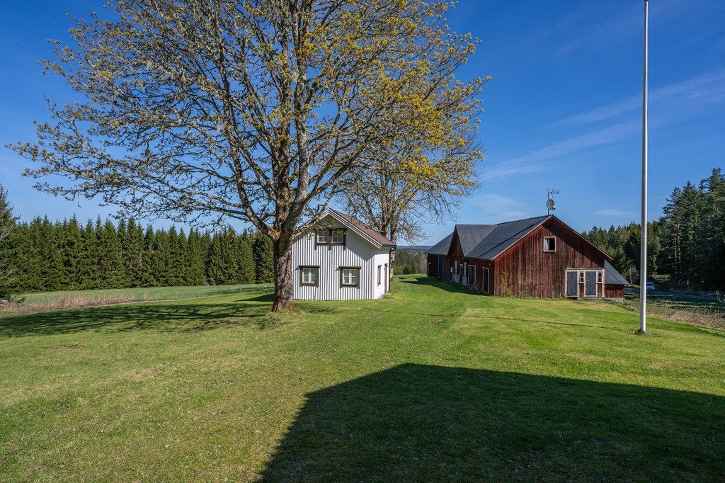 Flinks NorraBacken SLM02573 web.jpg Galleribilde
