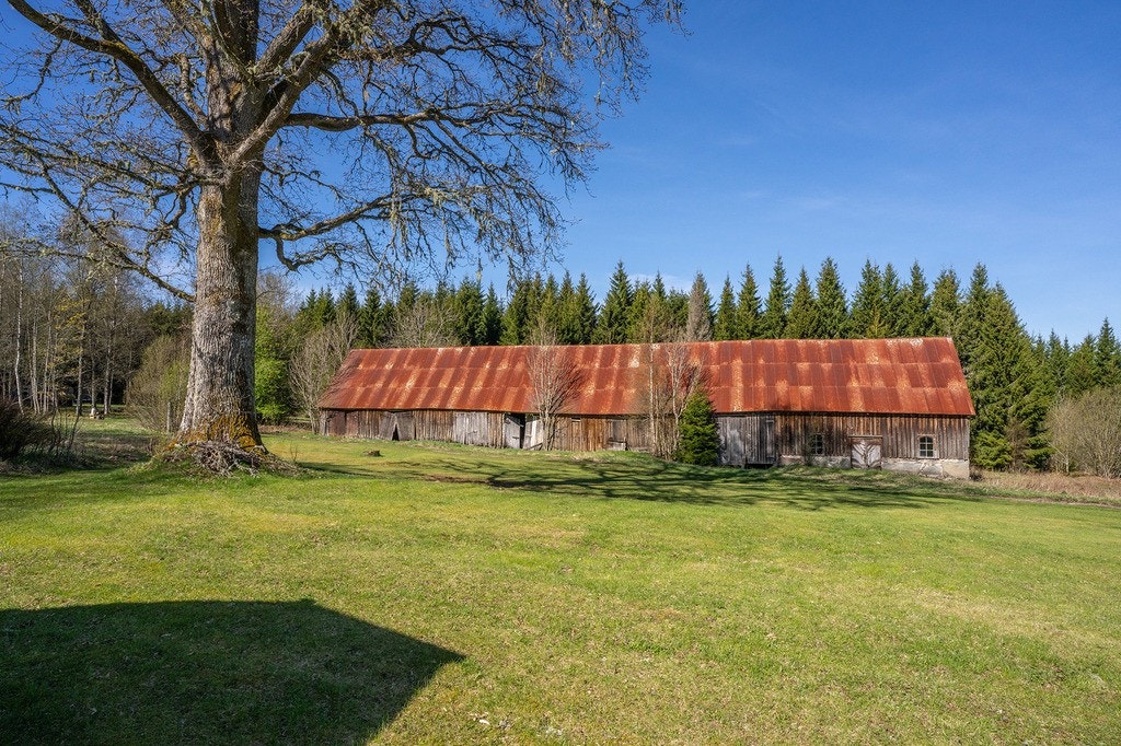 Flinks NorraBacken SLM02575 web.jpg Galleribilde