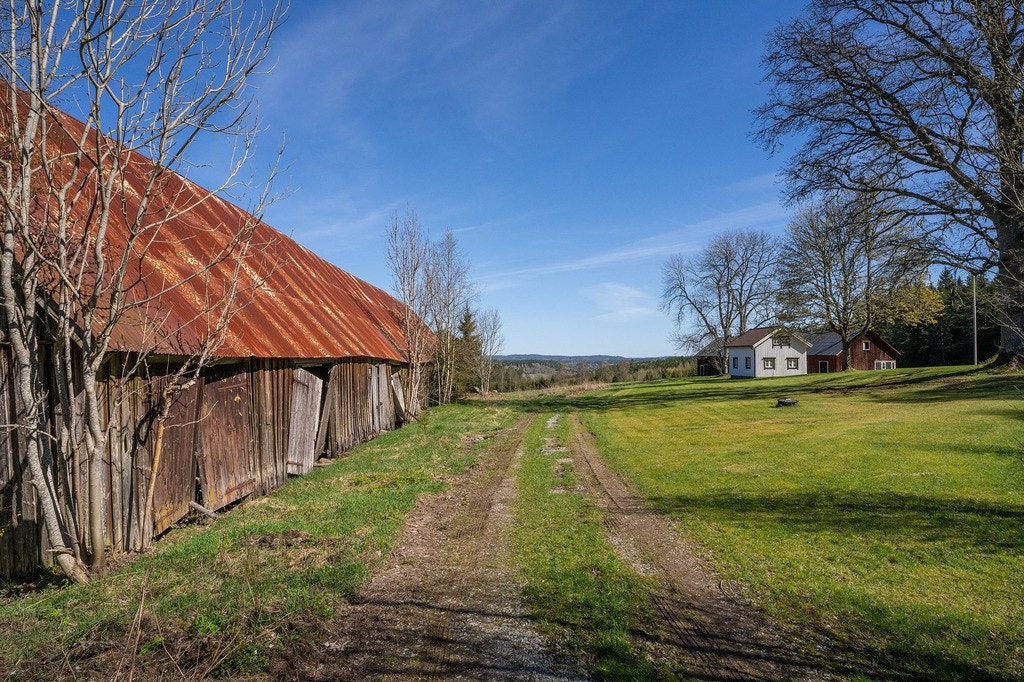 Flinks NorraBacken SLM02577 web.jpg Galleribilde