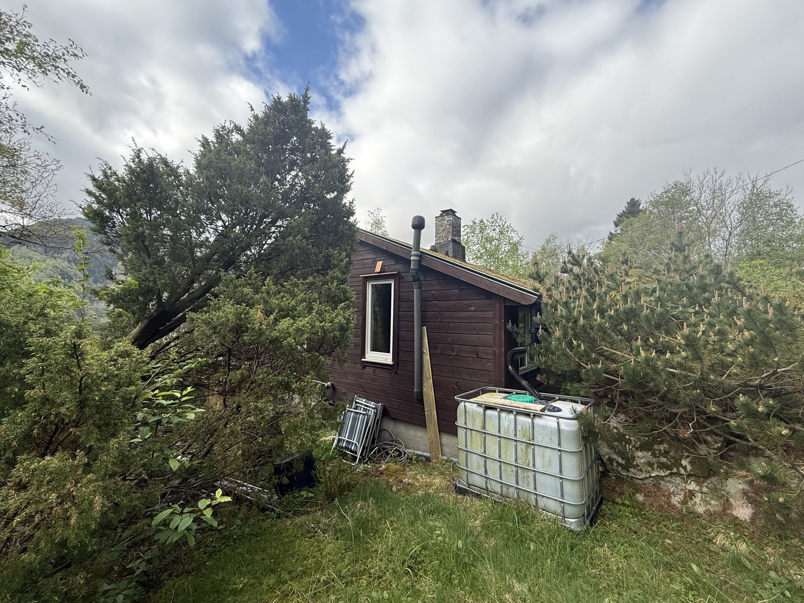 IMG_8441 Galleribilde