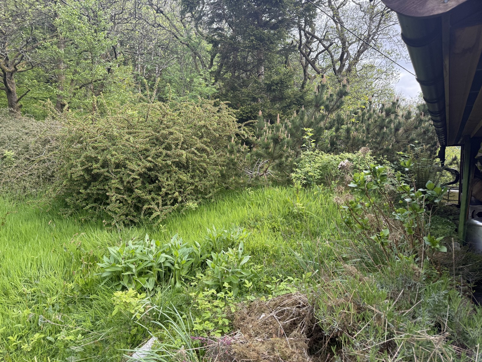 IMG_8447 Galleribilde