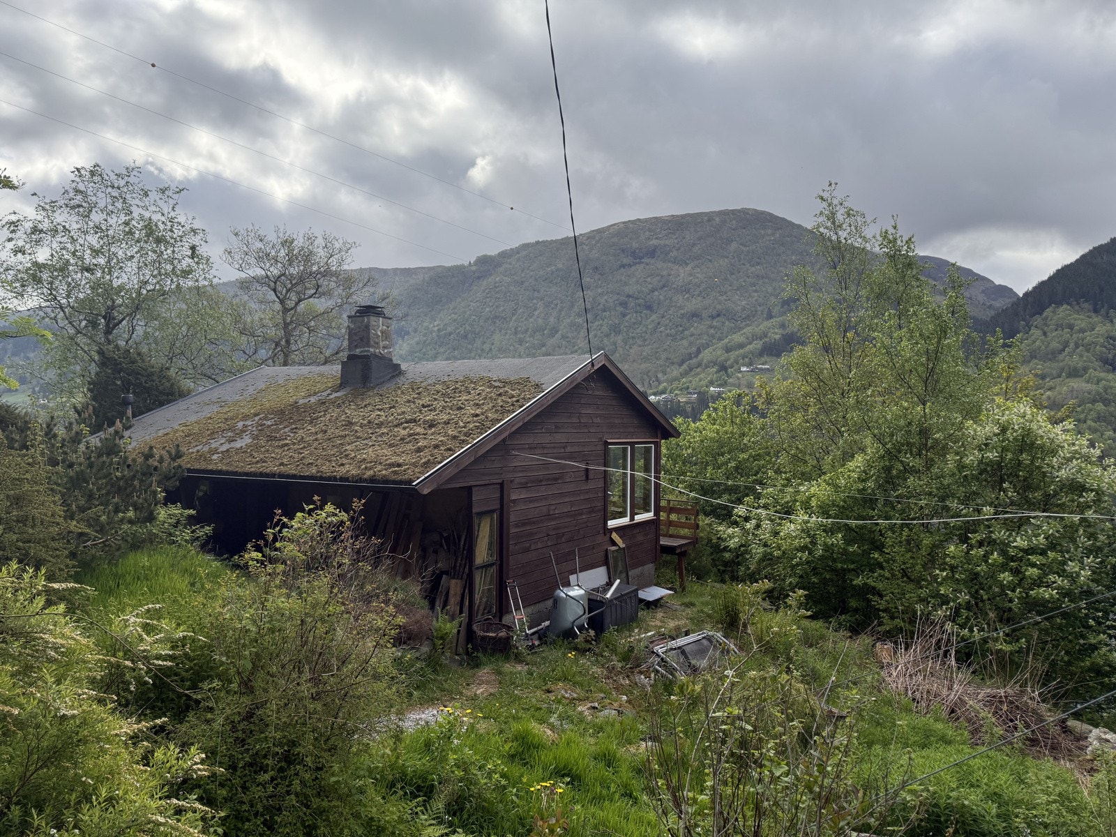 IMG_8445 Galleribilde