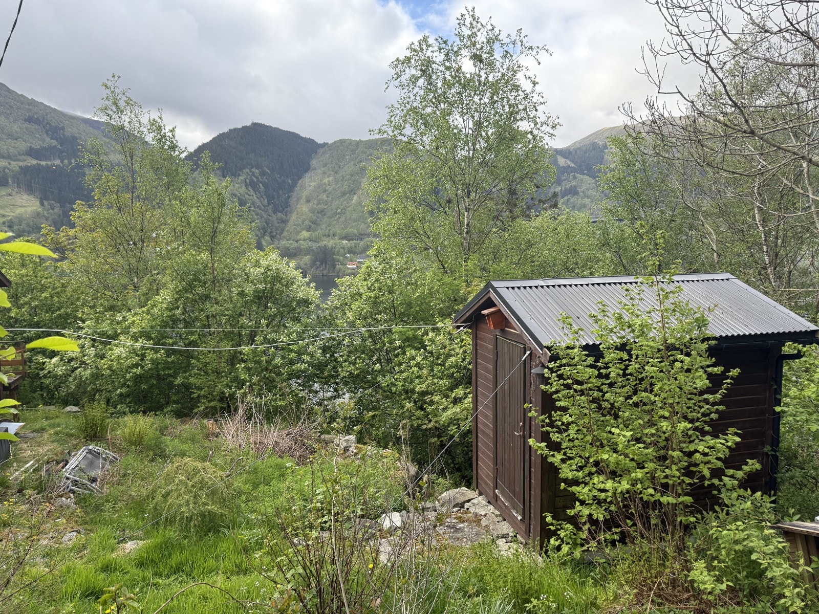 IMG_8444 Galleribilde