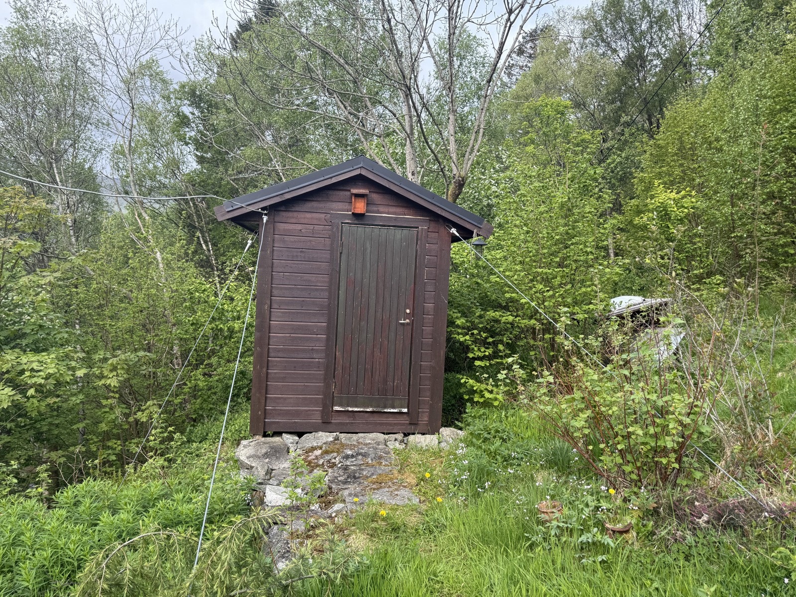 IMG_8448 Galleribilde