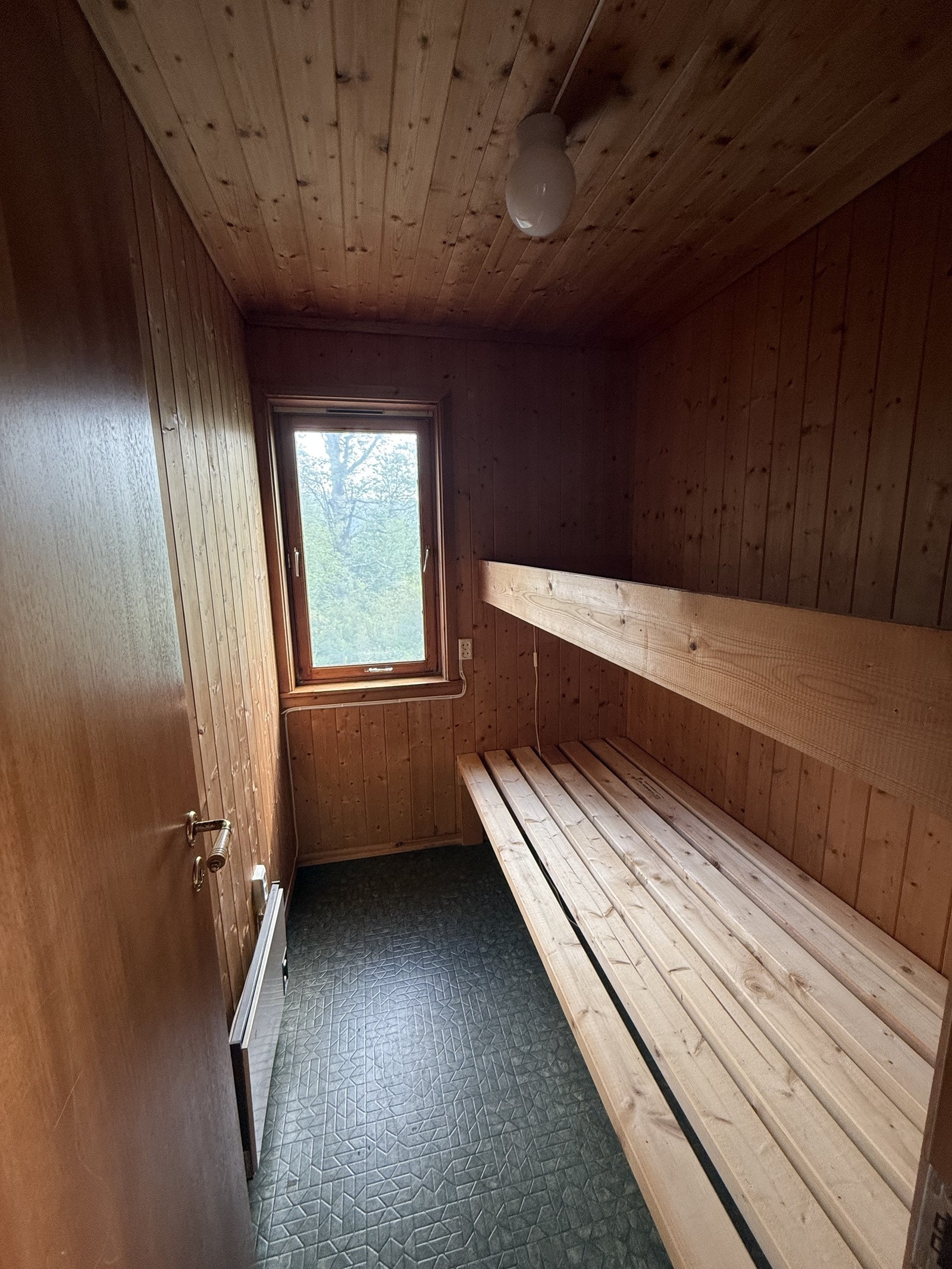 IMG_8456 Galleribilde