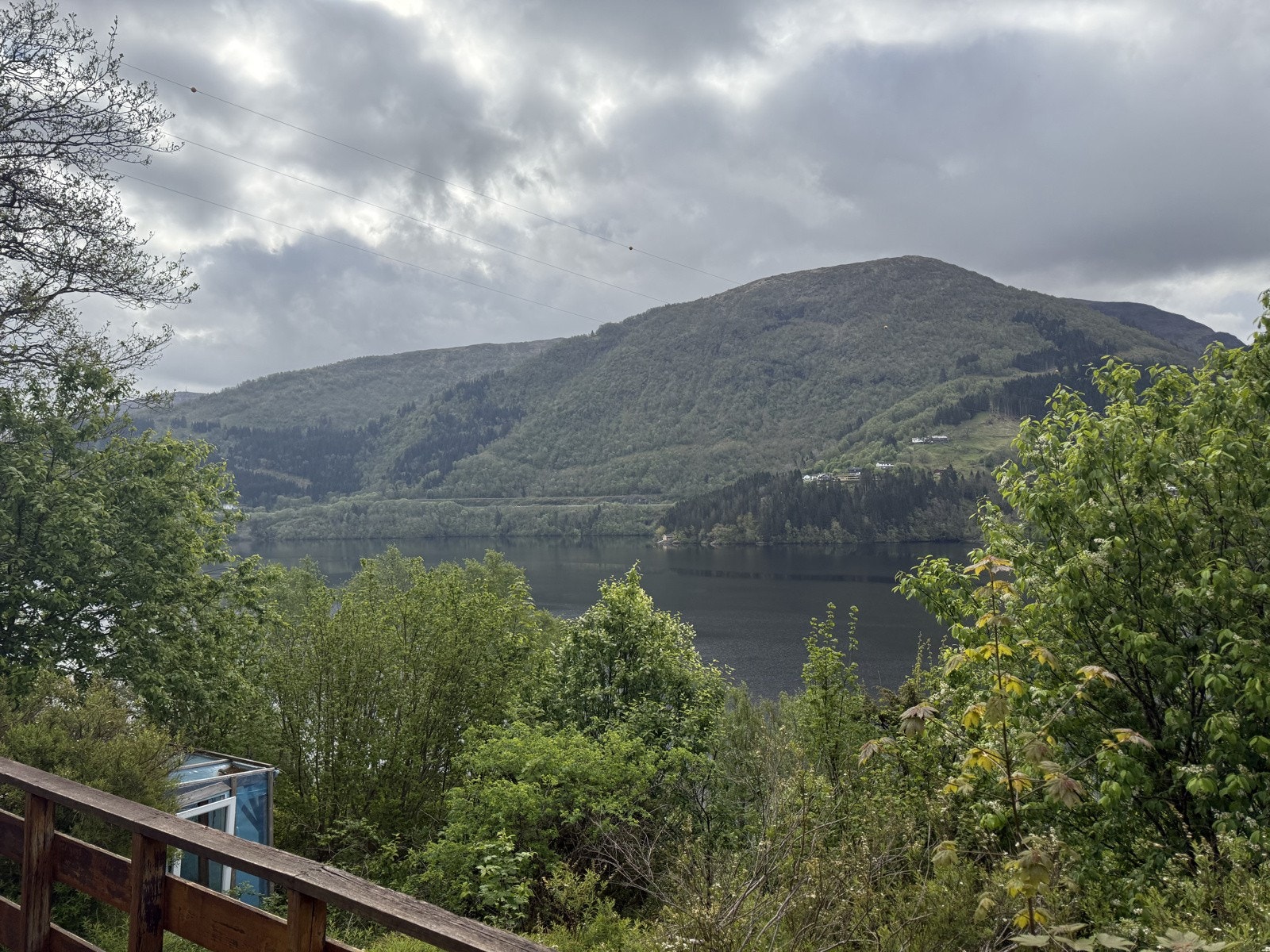 IMG_8436 Galleribilde