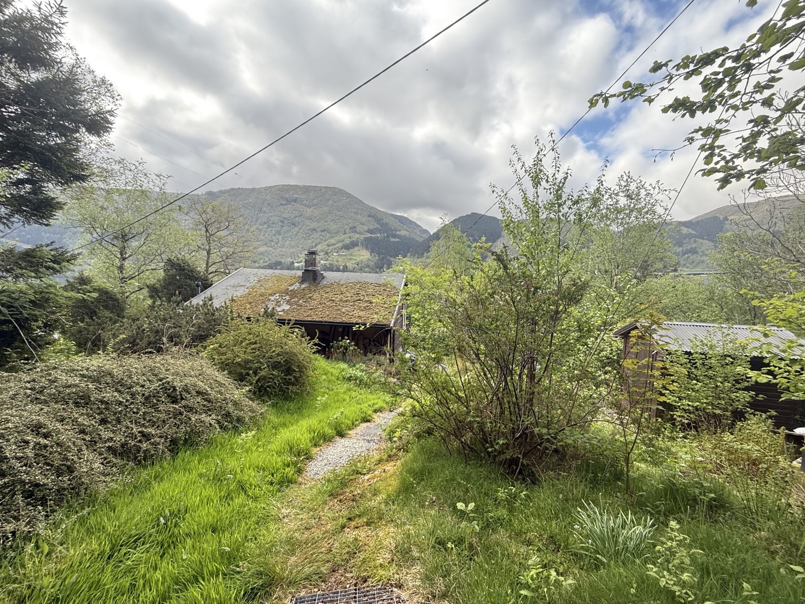 IMG_8442 Galleribilde