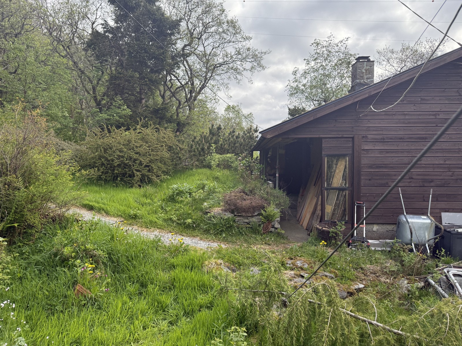 IMG_8446 Galleribilde