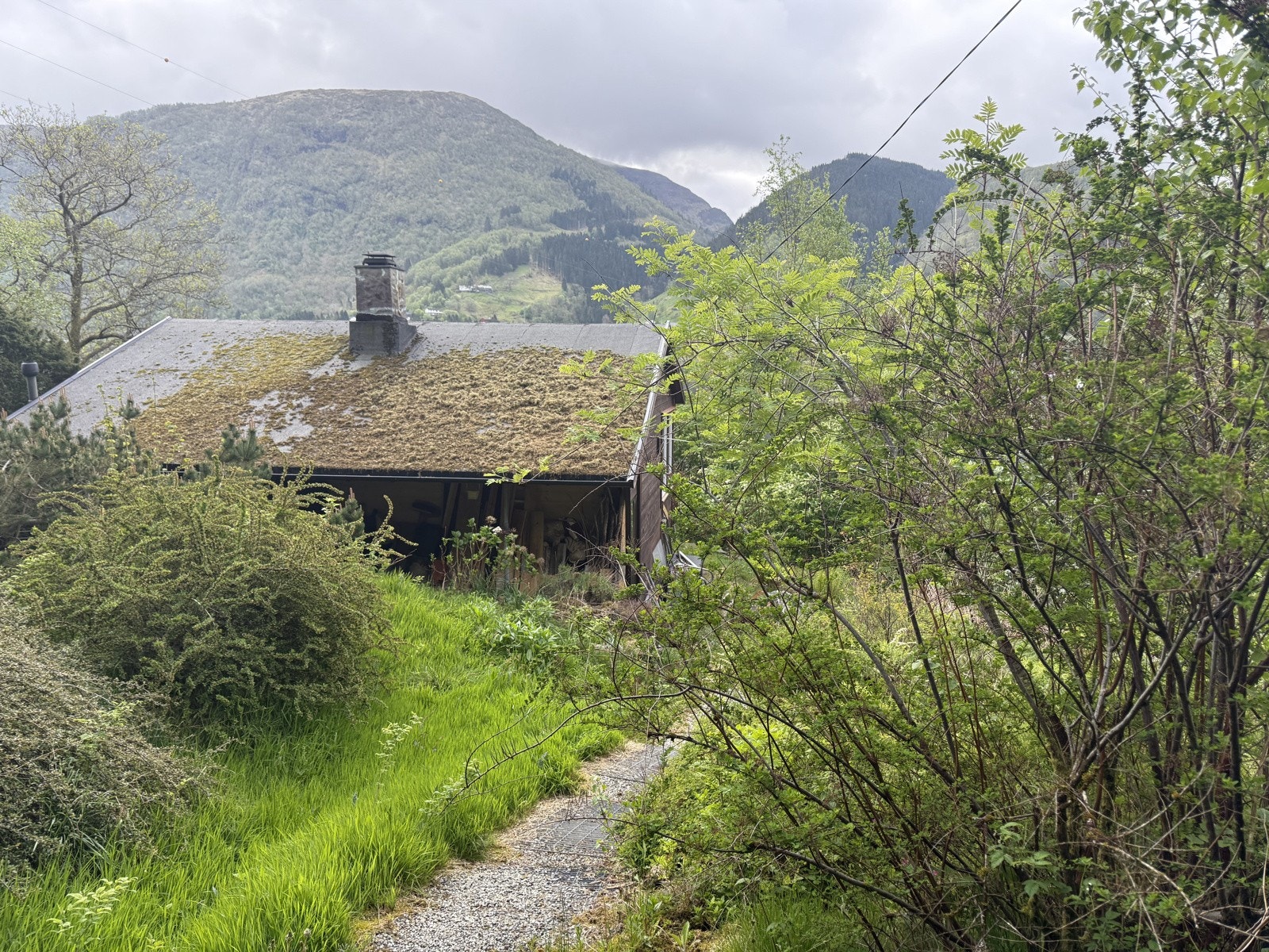 IMG_8443 Galleribilde