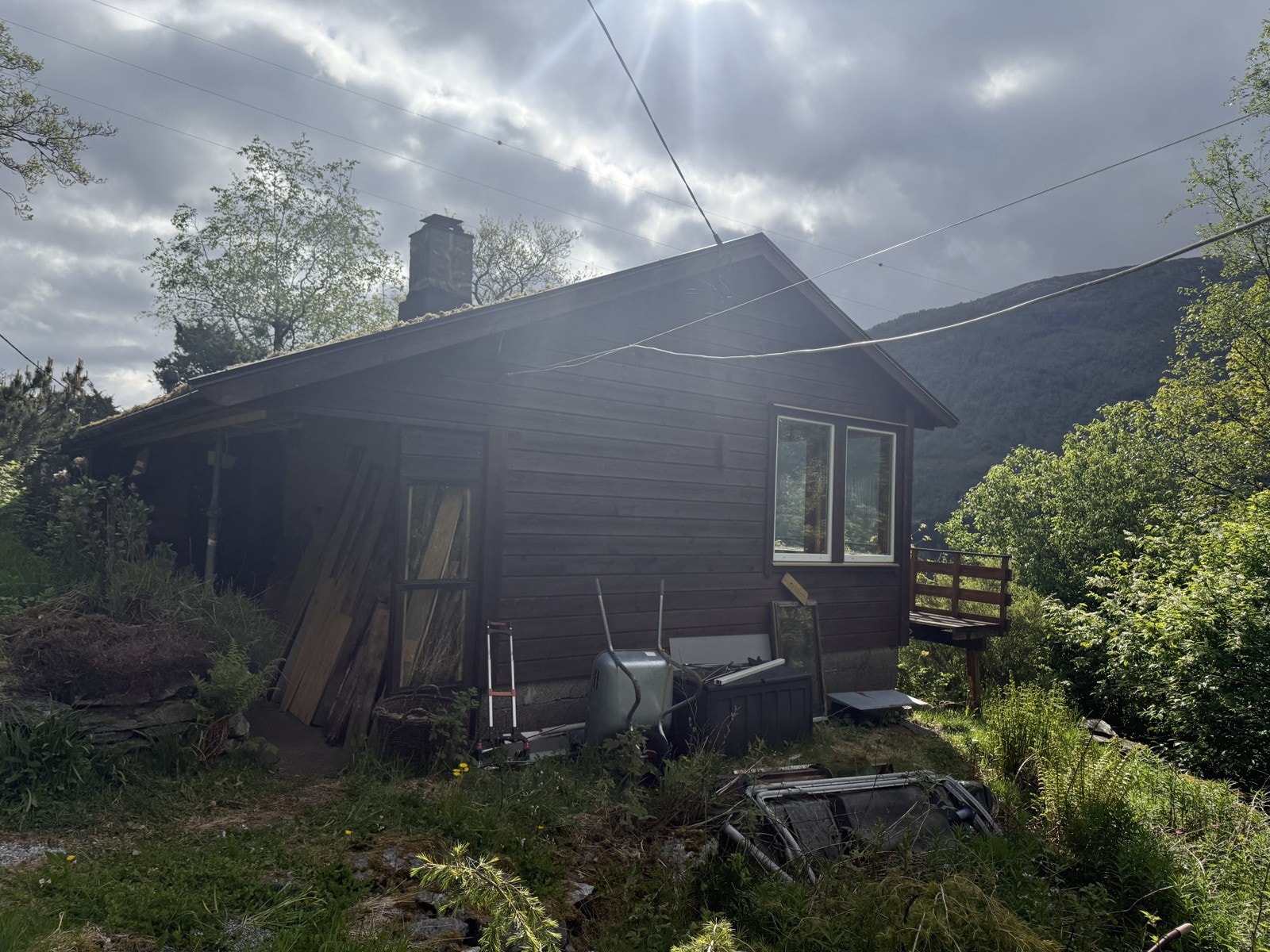 IMG_8449 Galleribilde