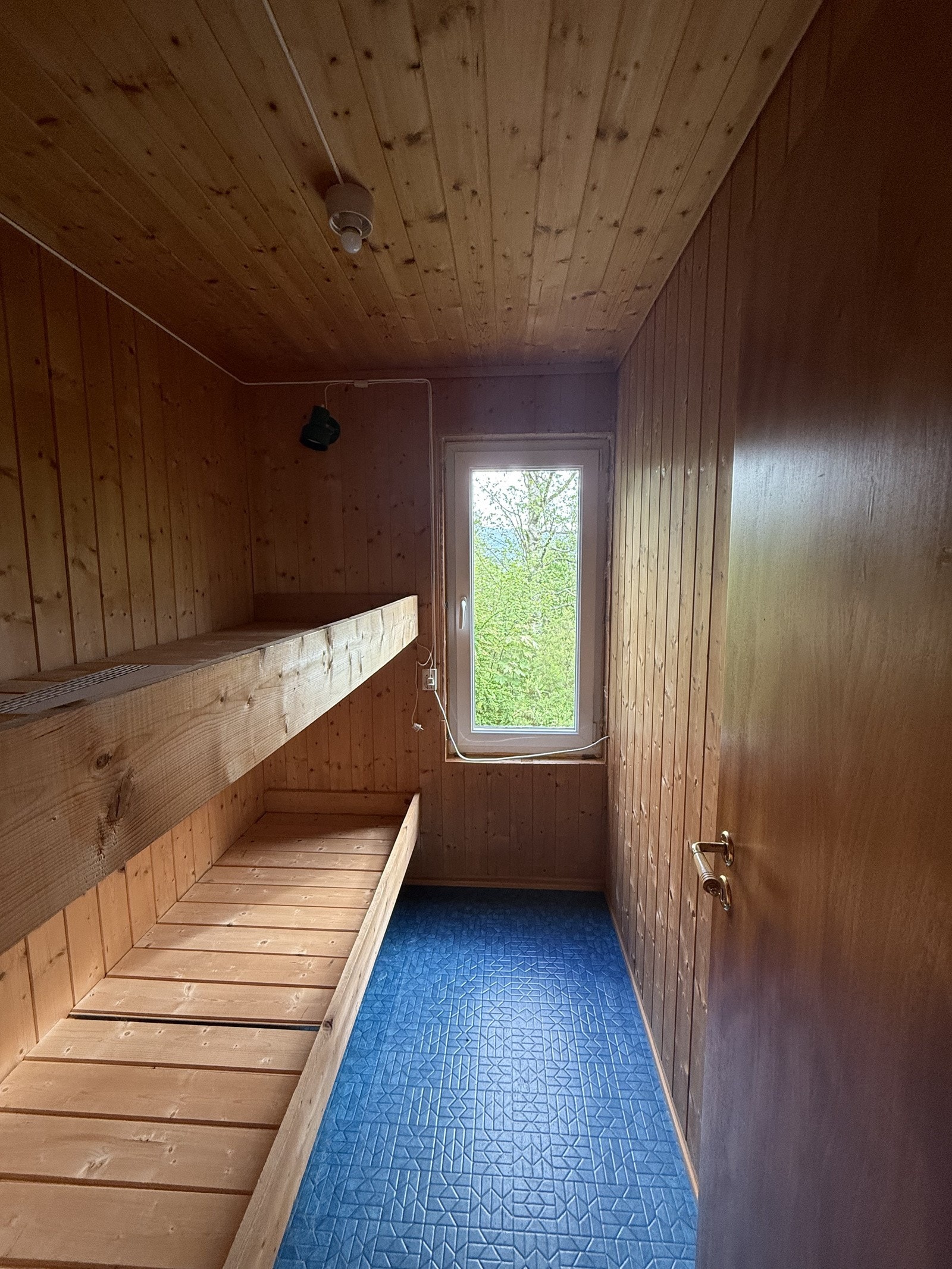 IMG_8455 Galleribilde