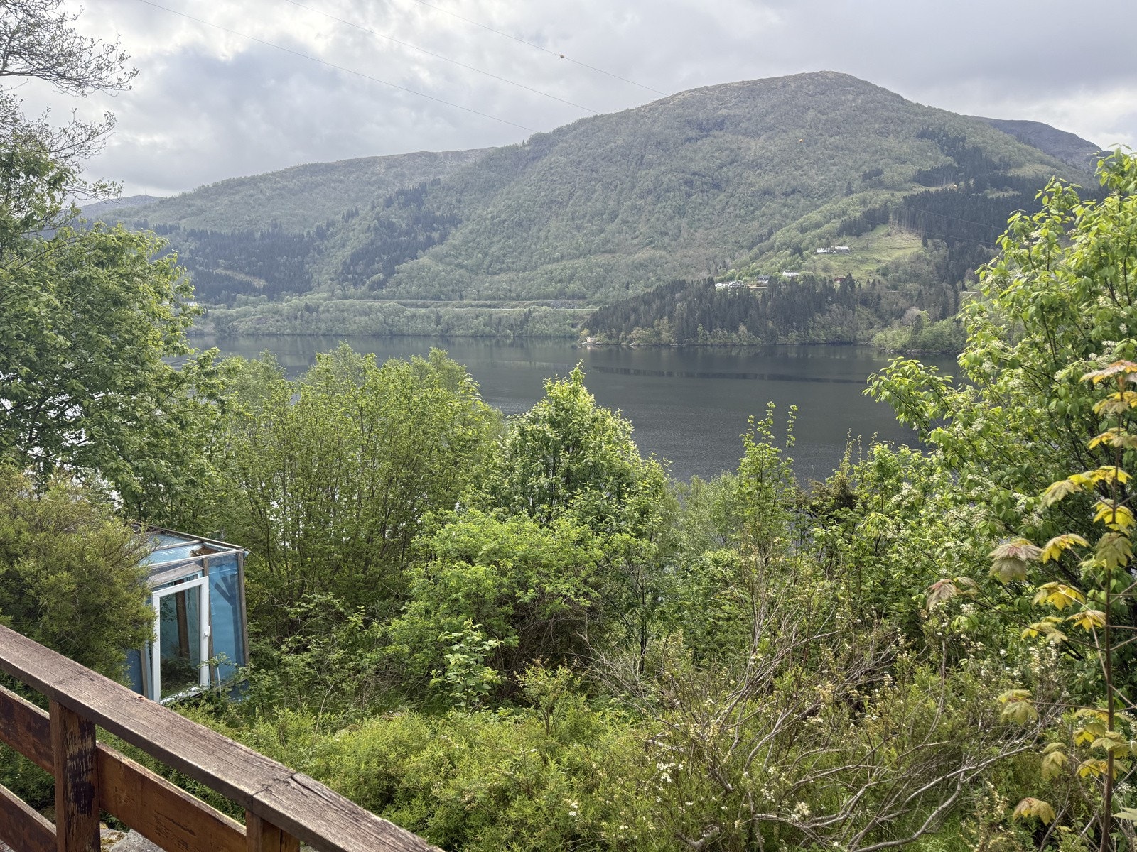 IMG_8435 Galleribilde