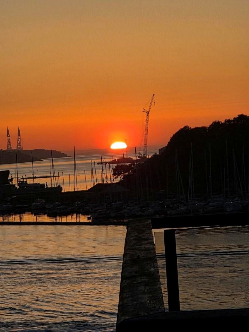 Bilde fra selger. Galleribilde