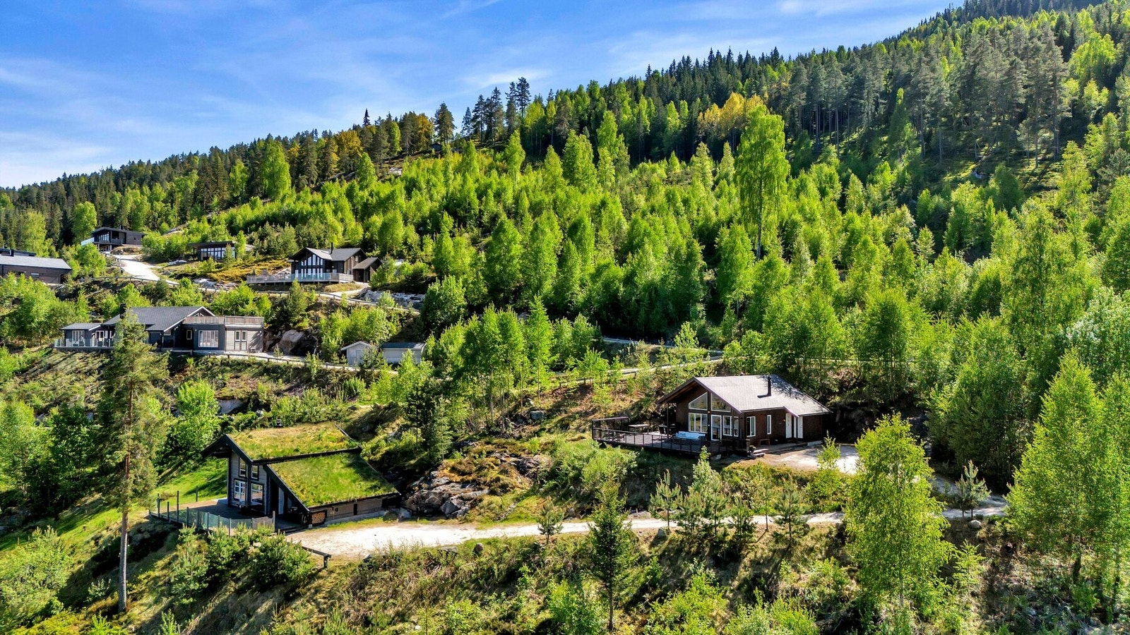 Hytta passer godt inn i naturen. Galleribilde