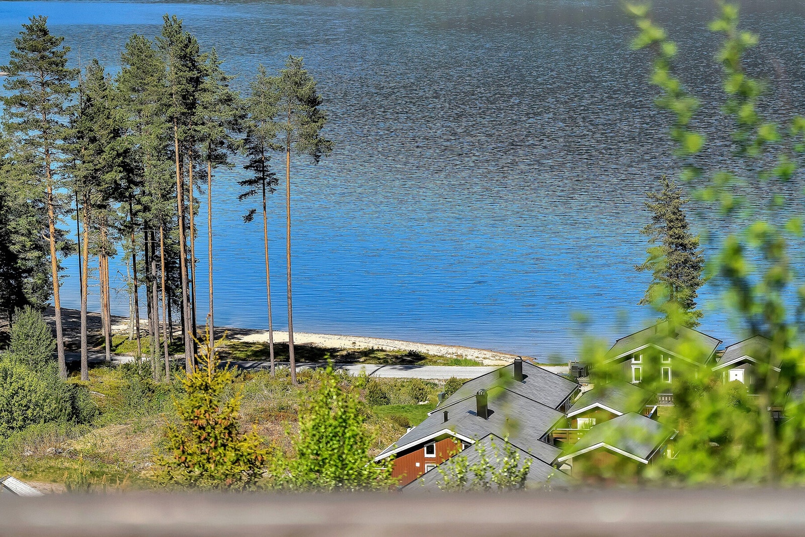 Utsikt ned mot stranden. Galleribilde