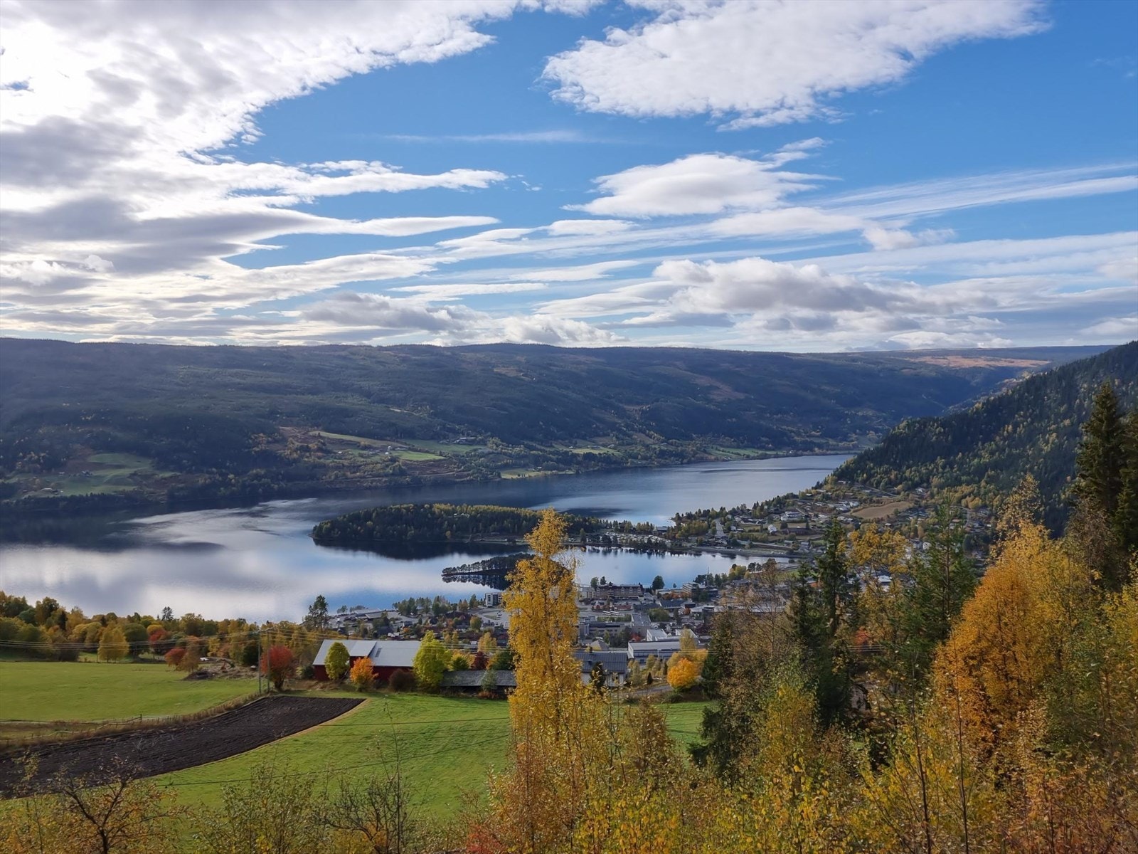 Selgers eget bilde Galleribilde