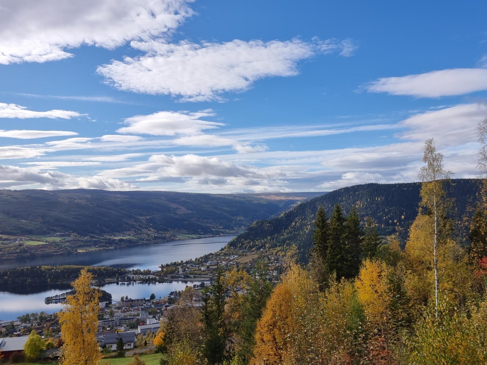 Selgers eget bilde Galleribilde