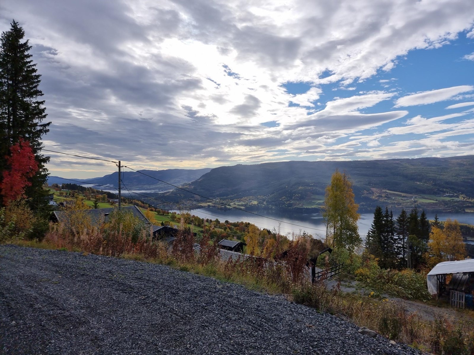 Selgers eget bilde Galleribilde