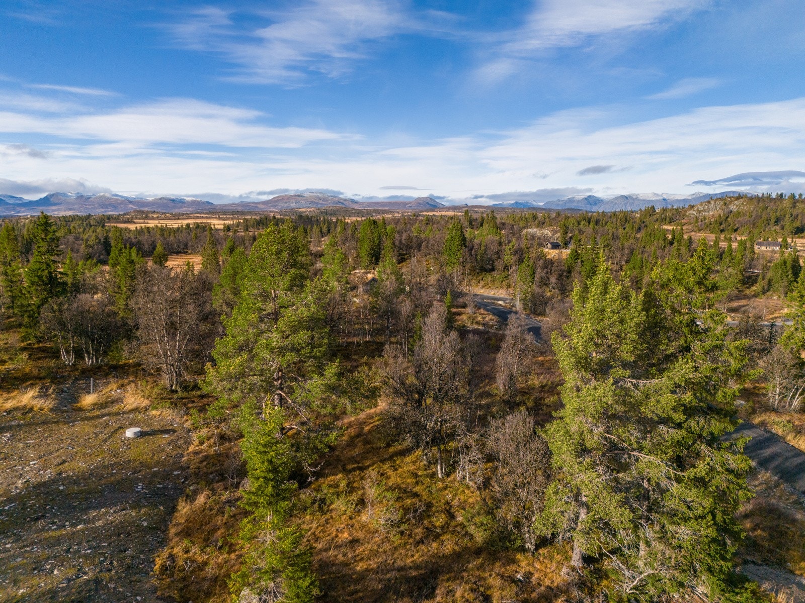 Solrikt område. Galleribilde