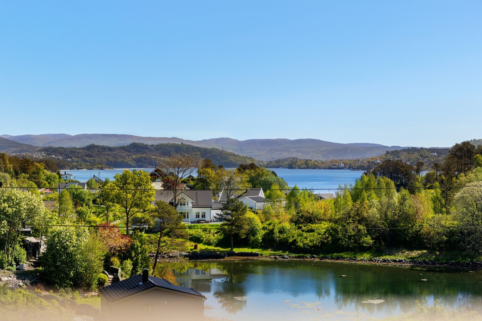 Sjekk utsikten! Galleribilde