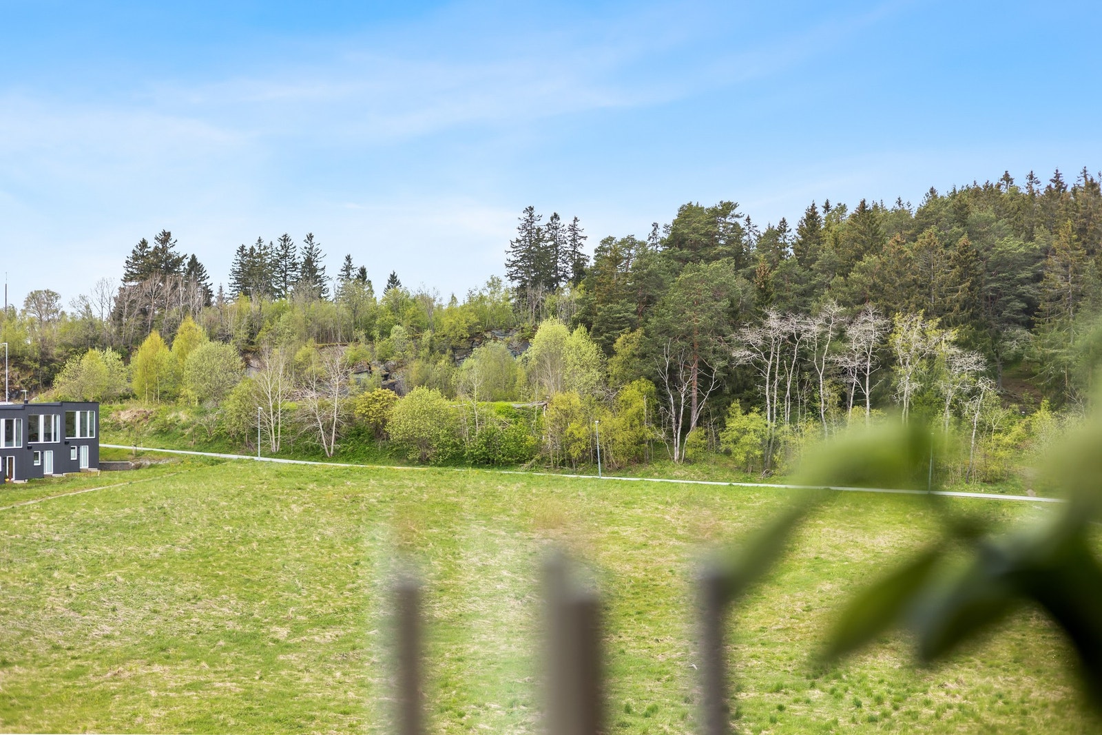 Estenstadmarka ligger like i nærheten med sine flotte tur- og treningsmuligheter både sommer og vinter. Galleribilde