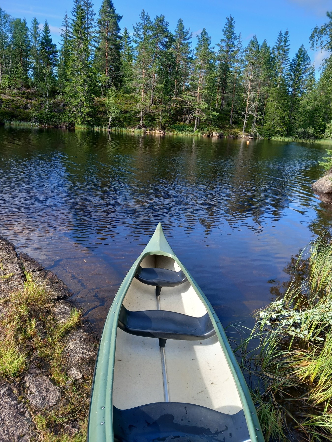 Selgers bilde. Galleribilde