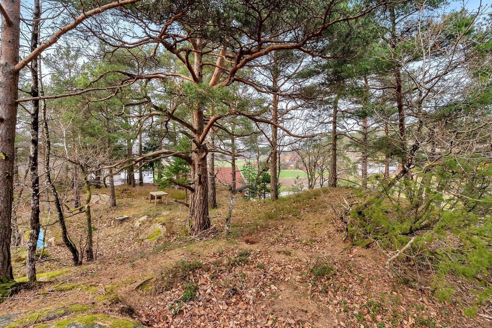 En parsell er oppe i heia på 1982 kvm. Galleribilde