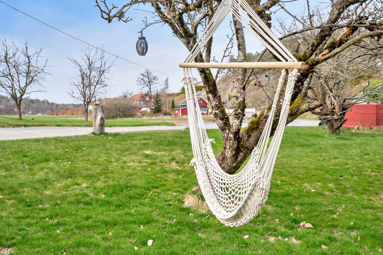 Stor frukthage foran eiendommen. Galleribilde