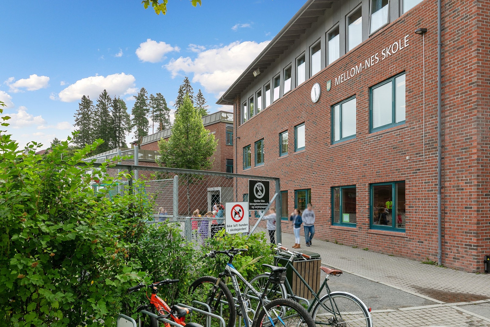 Nabolagets barn sokner til Mellom-Nes barneskole som er rett i nærheten Galleribilde