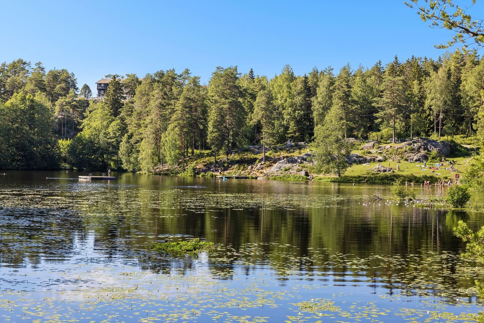Vakkre Østmarka er like i nærheten med badevann og flotte turstier. Galleribilde