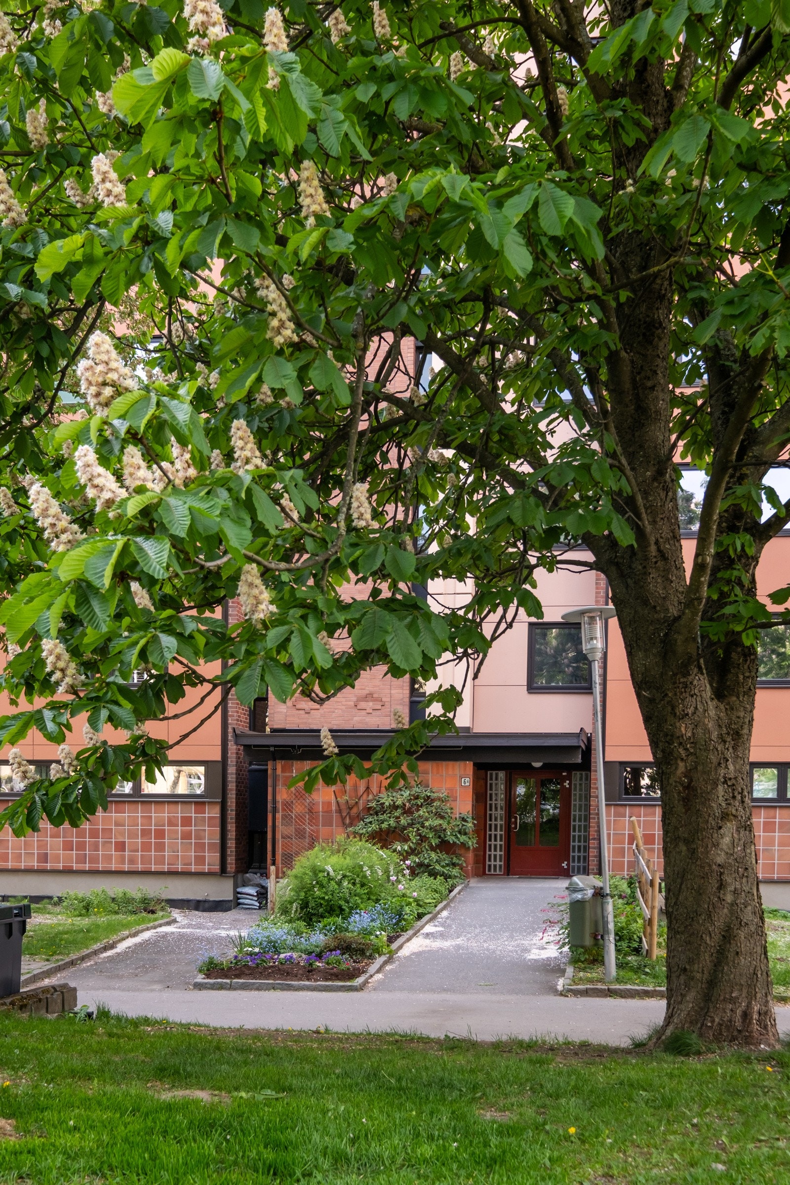 Torshov er kjent for sine flotte grøntområder. Galleribilde