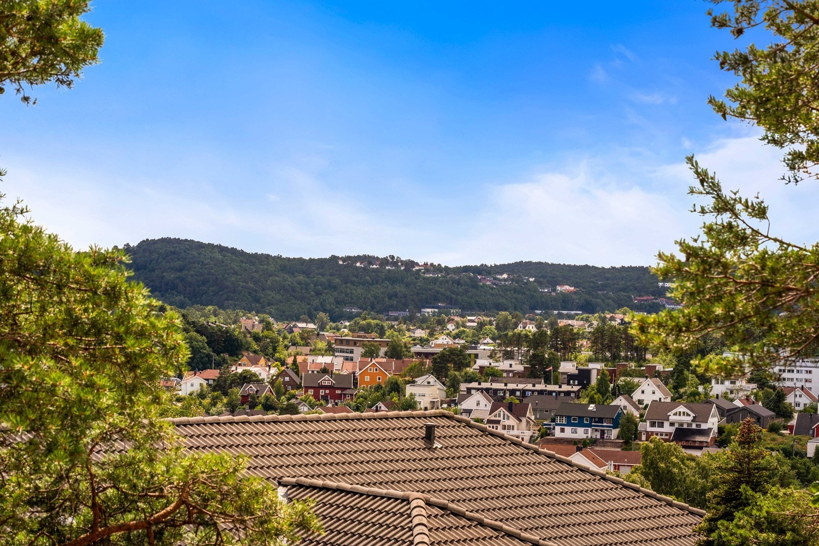 Utsikt. Galleribilde