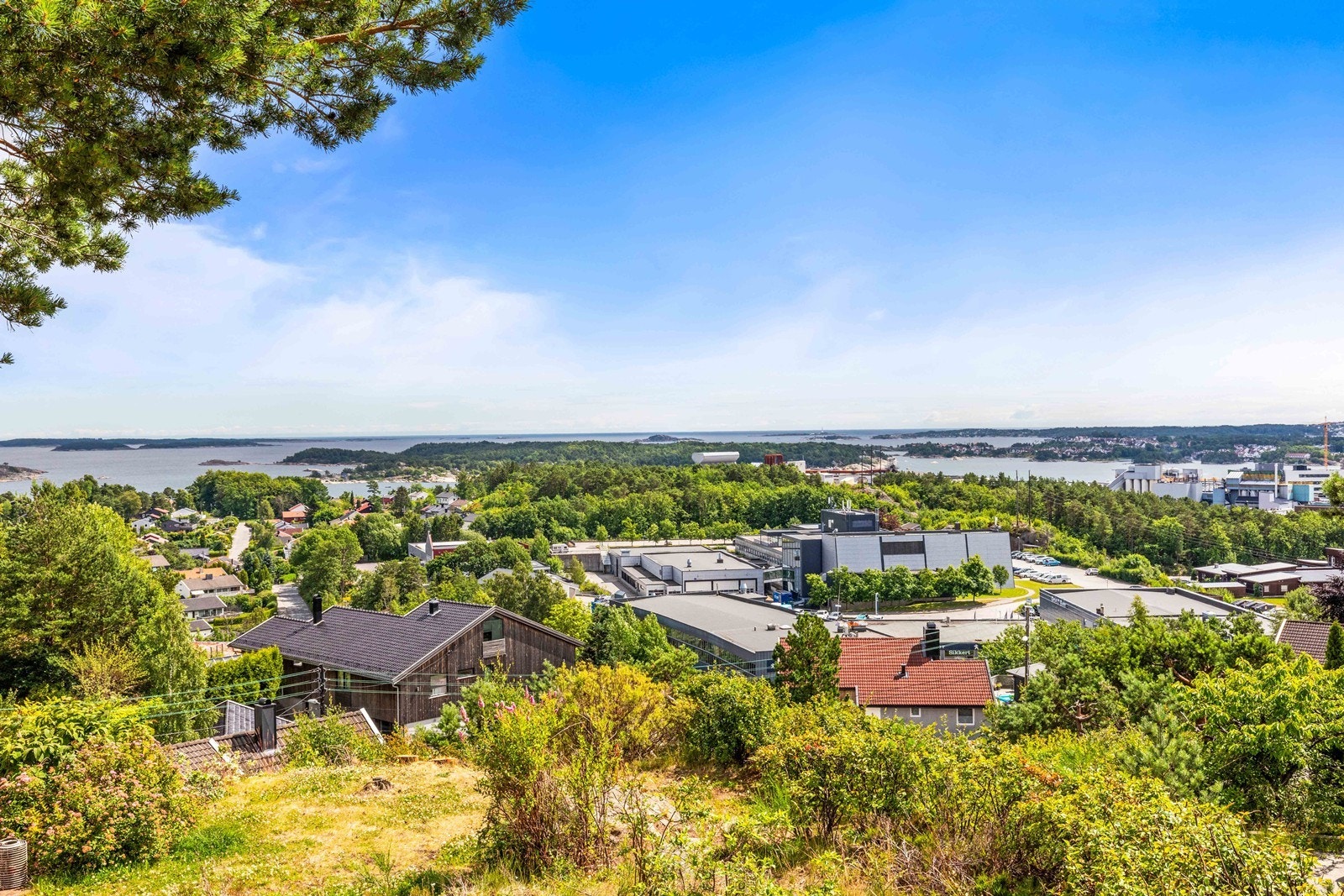 Utsikt. Galleribilde